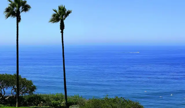 Ritz-Carlton Laguna Niguel à Dana Point, côte bordée de palmiers sous un ciel dégagé